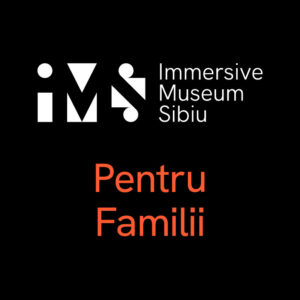 Immersive Museum Sibiu - Pachet pentru familii