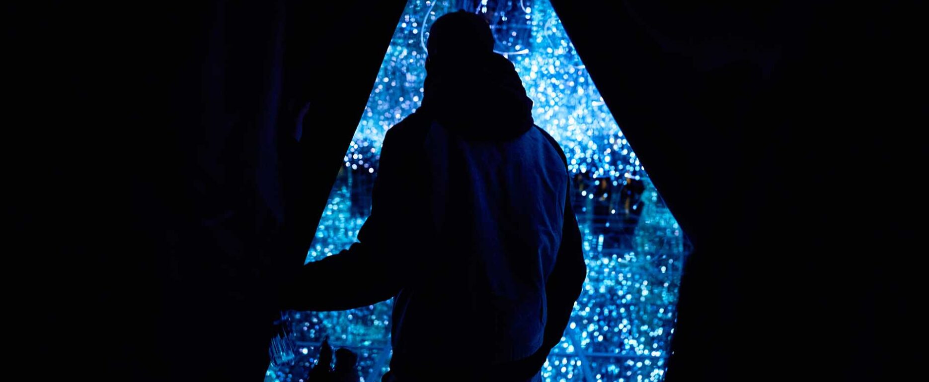 IMMERSIVE MUSEUM SIBIU-PORTAL-02